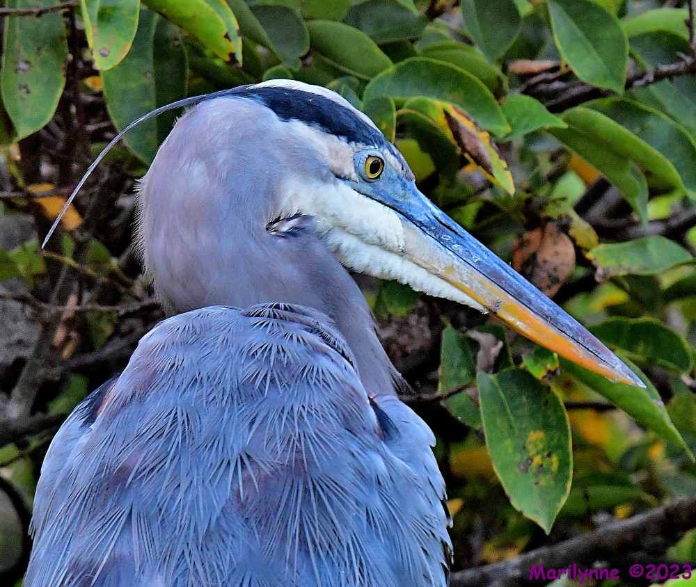 DSC_9642_001.JPG