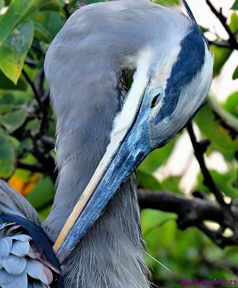 DSC_9650_001.JPG