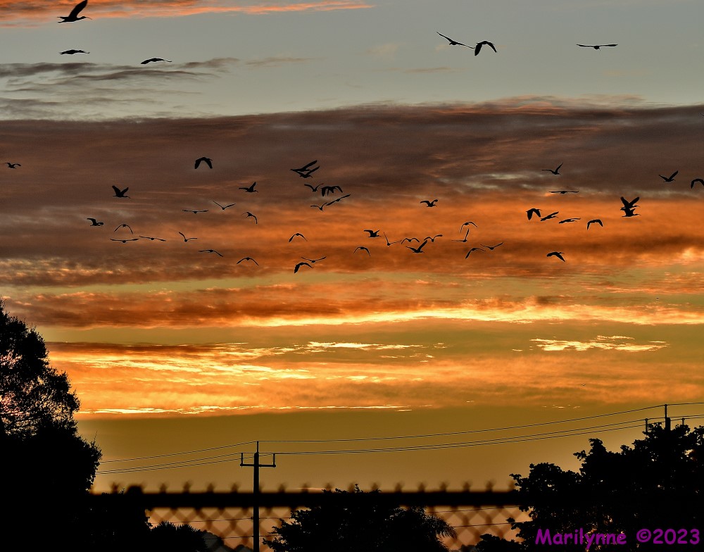 DSC_9654_stitch3_001.JPG