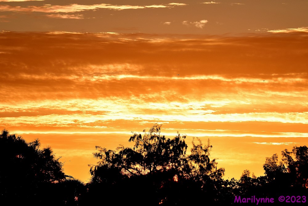DSC_9662_001.JPG