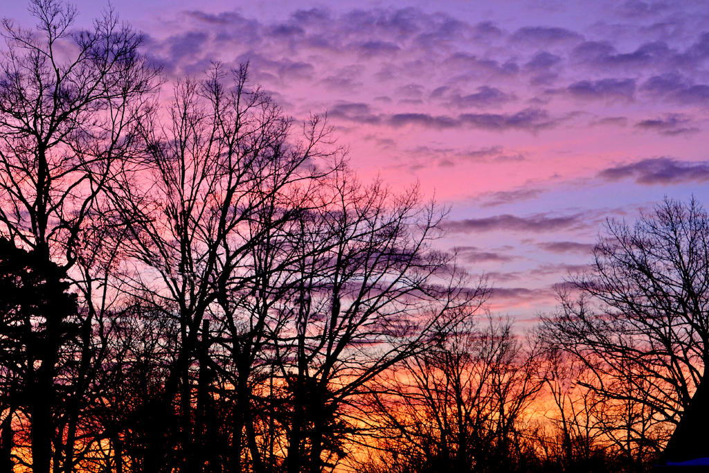 DSC_9670.jpg