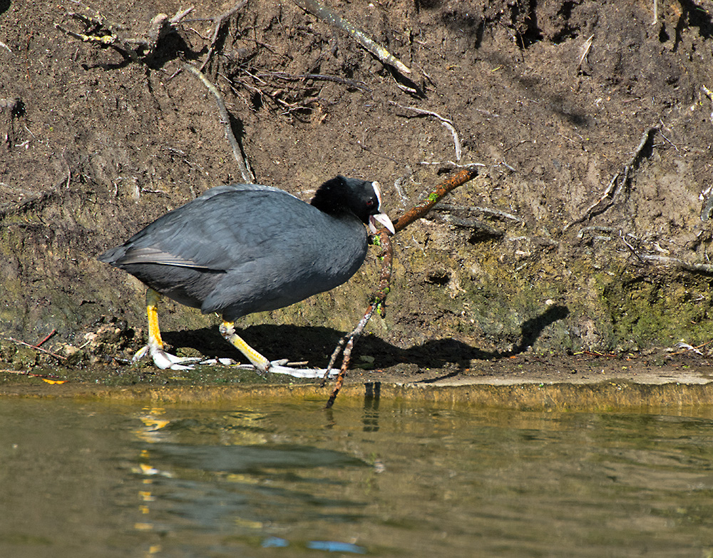 DSC_9675.jpg