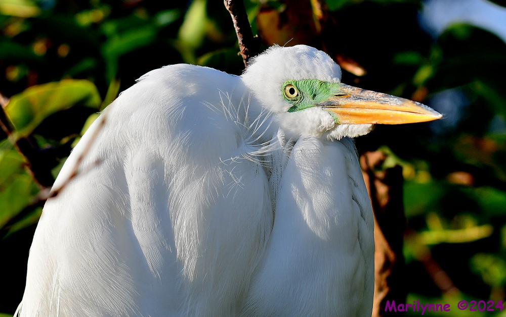 DSC_9677_001.jpg