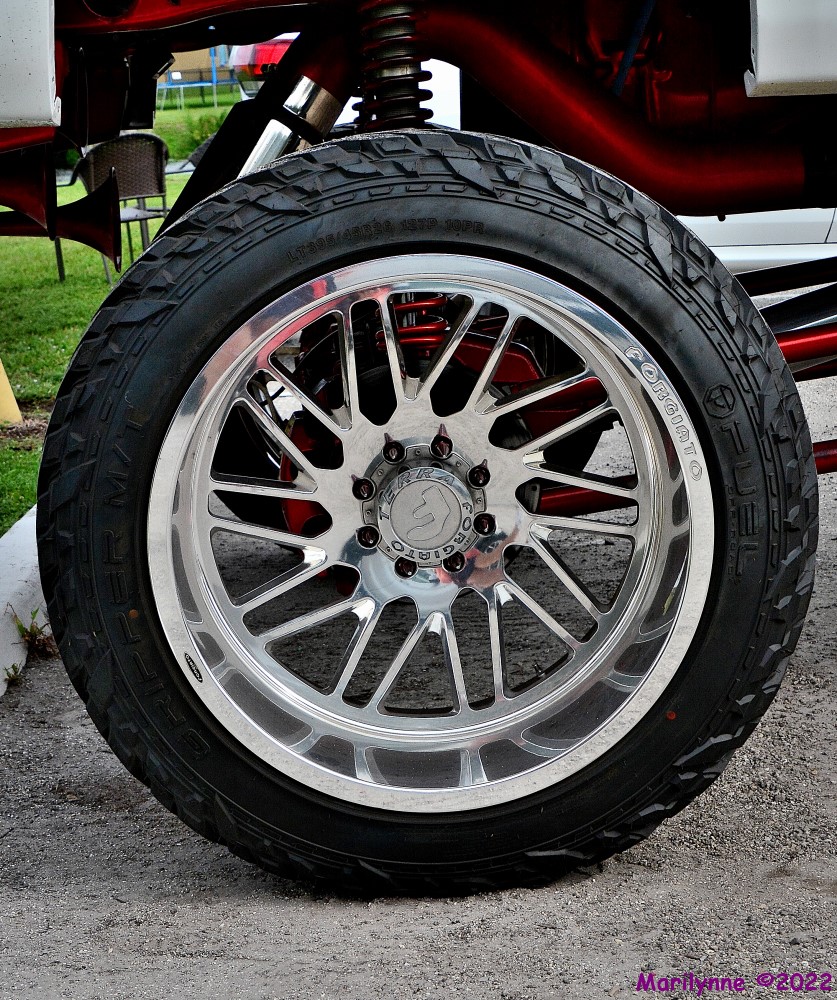 DSC_9679_001.JPG