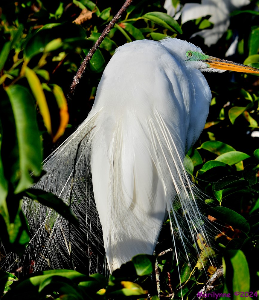 DSC_9680_stitch_001.jpg