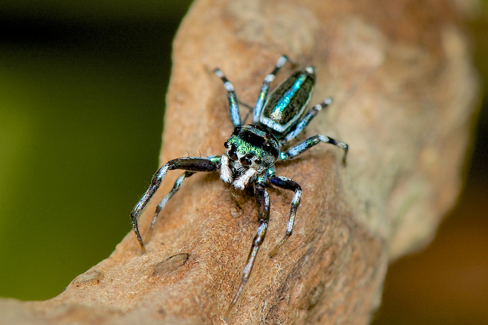 DSC_9685.jpg