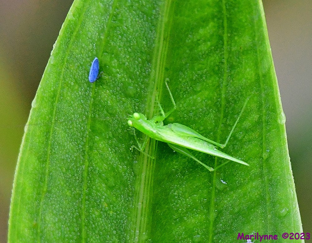 DSC_9689_001.JPG