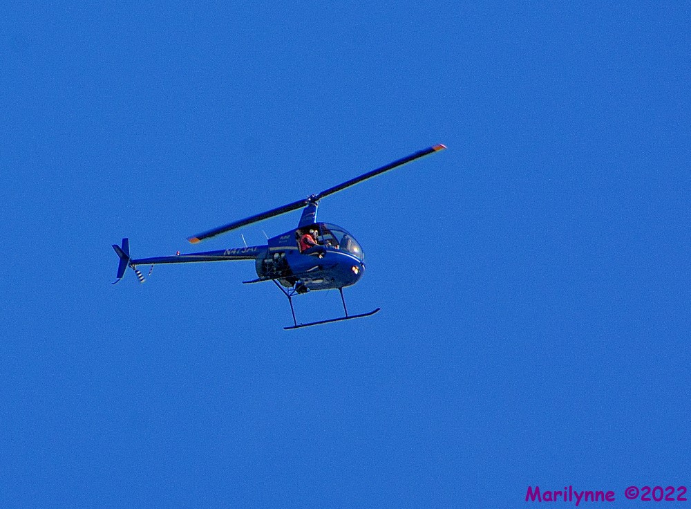 DSC_9695_001.JPG