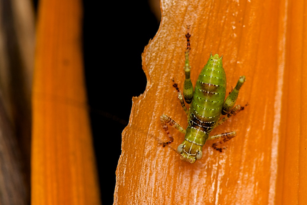 DSC_9698.jpg