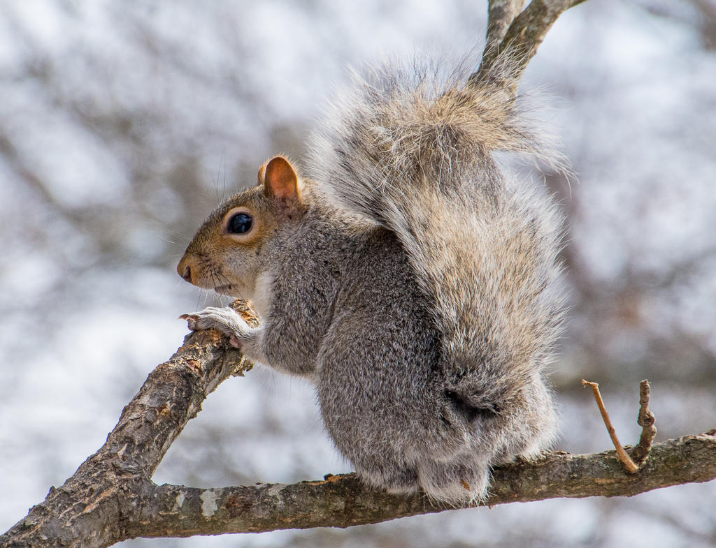 DSC_9703.jpg