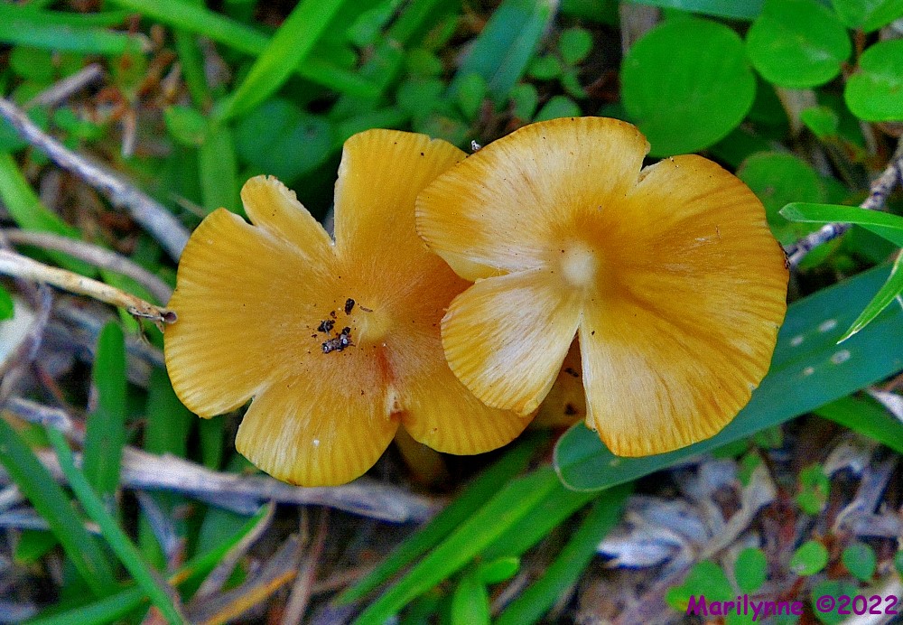 DSC_9709_001.JPG
