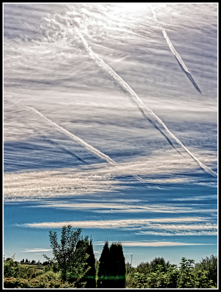 DSC_9712-Edit.jpg