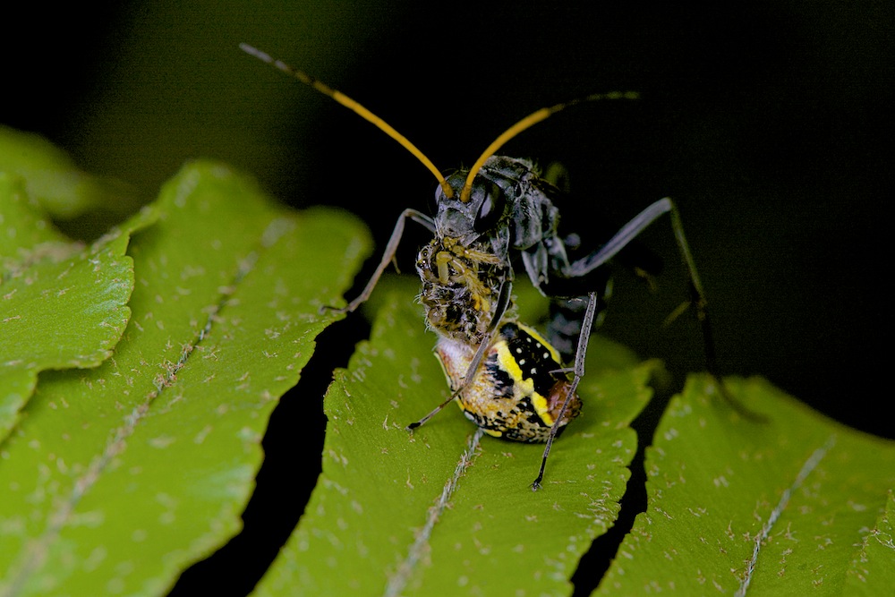 DSC_9714.jpg