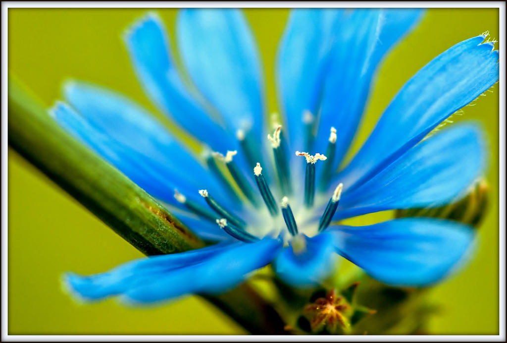 DSC_9720.jpg
