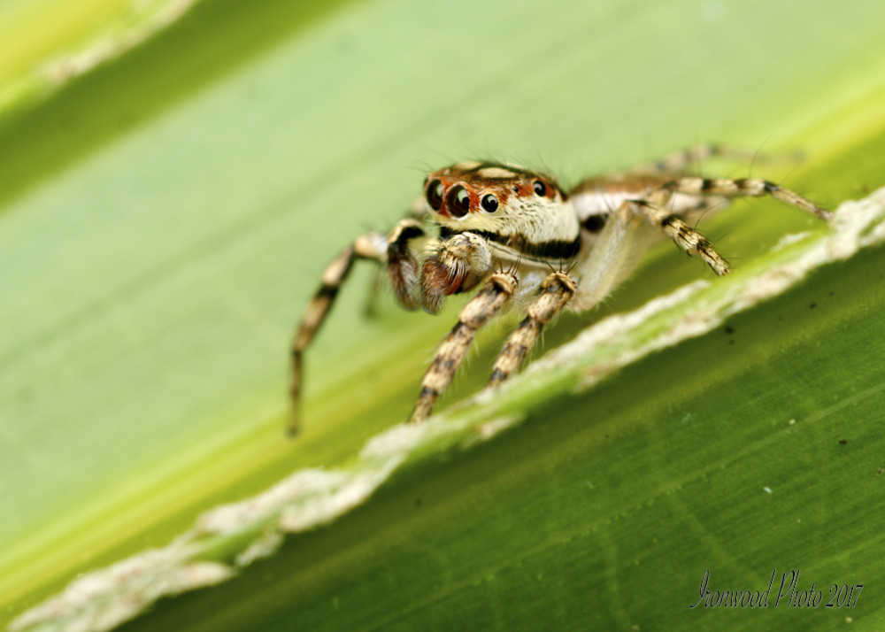 DSC_9727.jpg