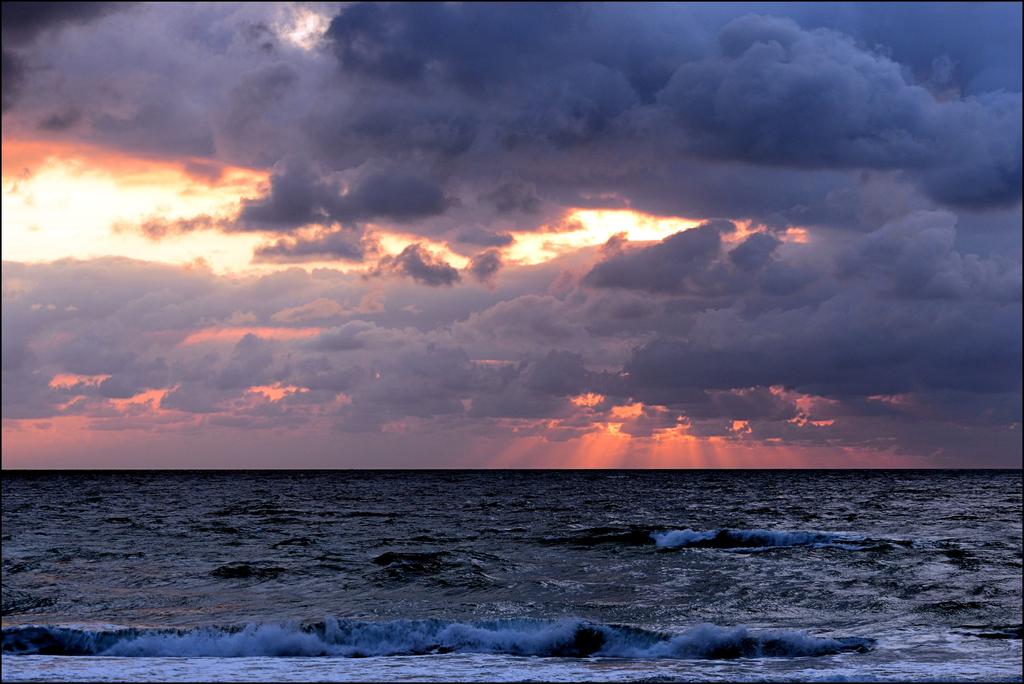 DSC_9728.jpg