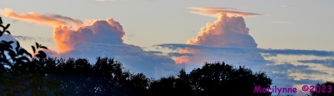 DSC_9729_stitch5_001.JPG
