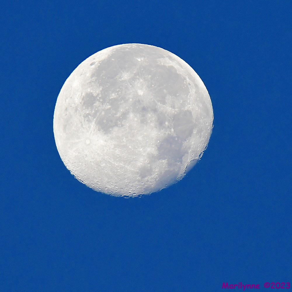 DSC_9739_001.JPG