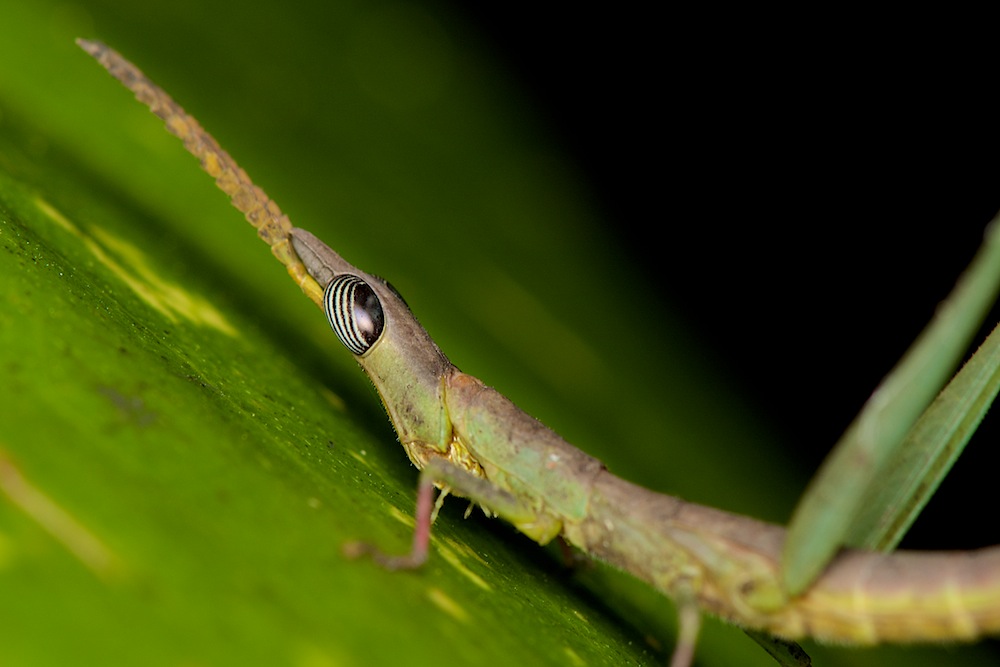 DSC_9746.jpg