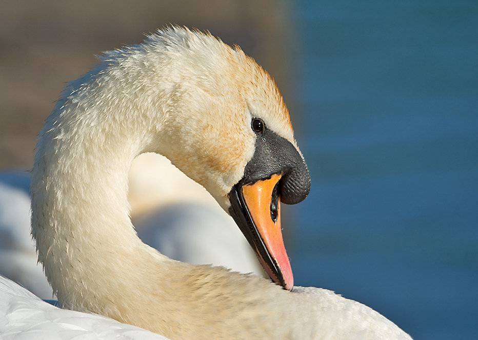 DSC_9760.jpg