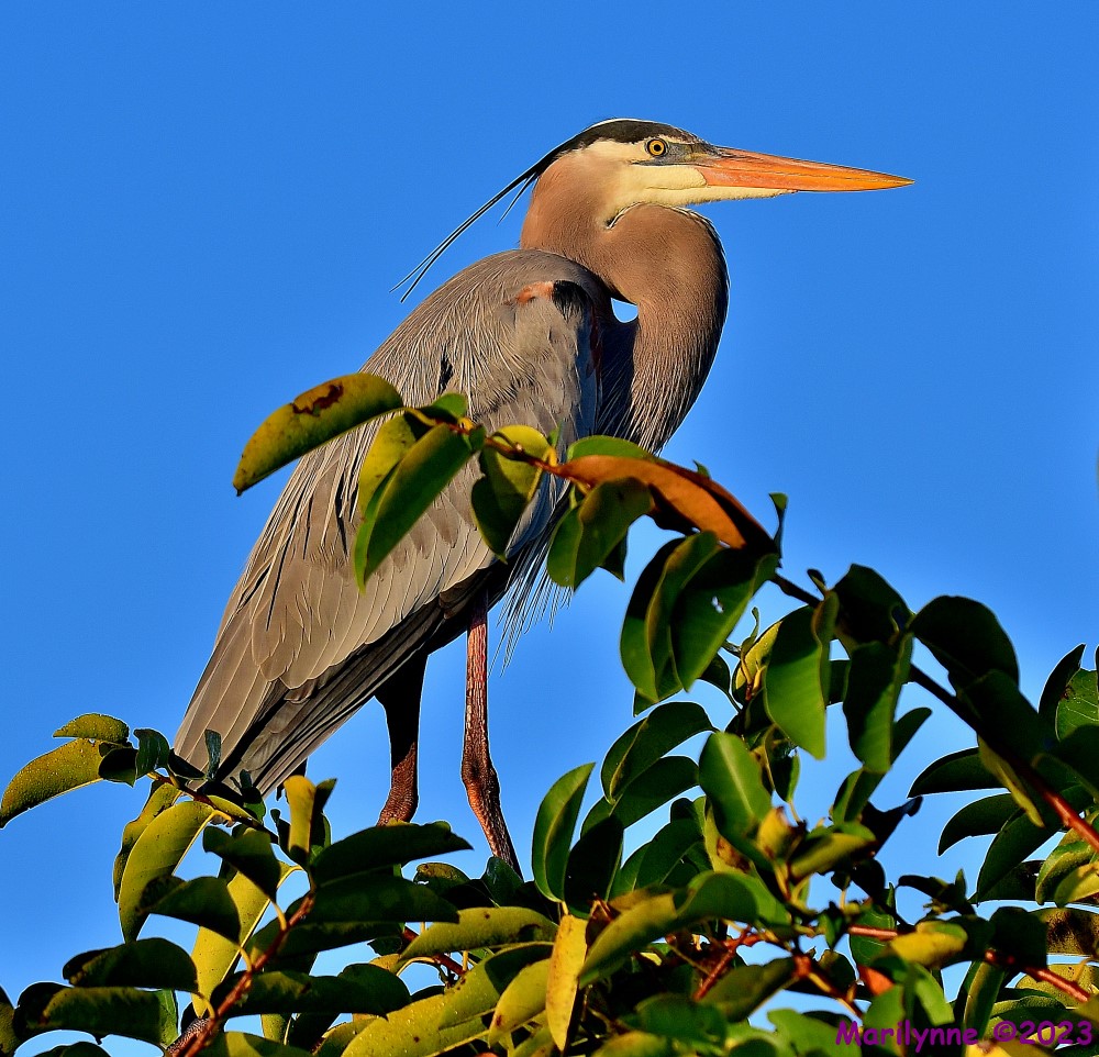 DSC_9760_001.JPG