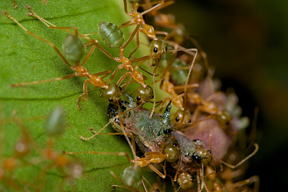 DSC_9791.jpg