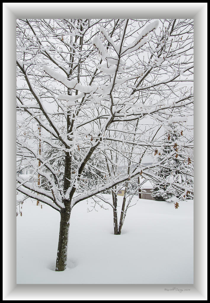 DSC_9791.jpg