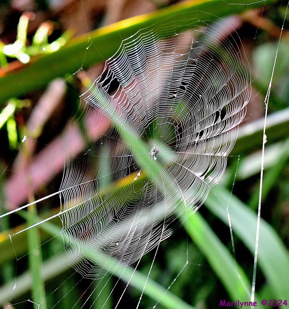 DSC_9800_001.JPG