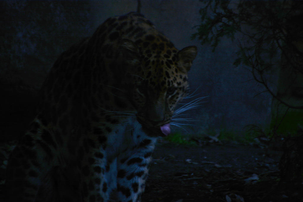 DSC_9815.jpg
