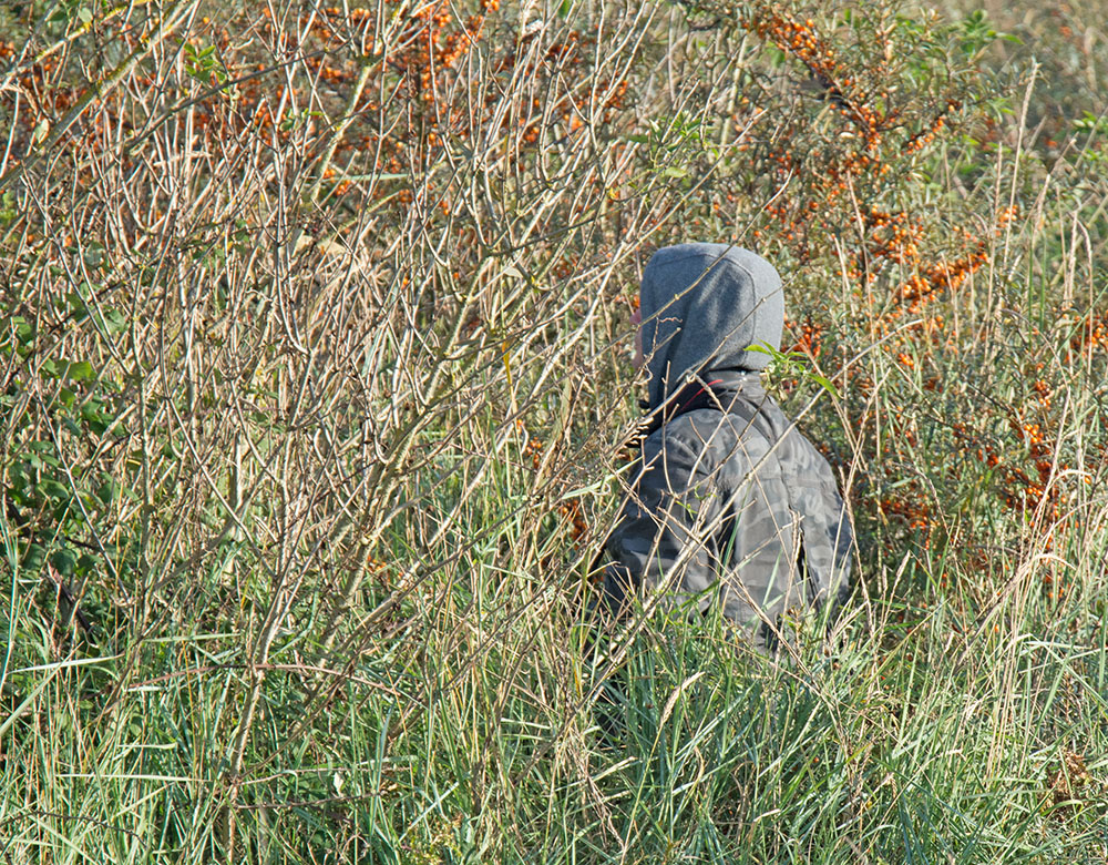 DSC_9826.jpg
