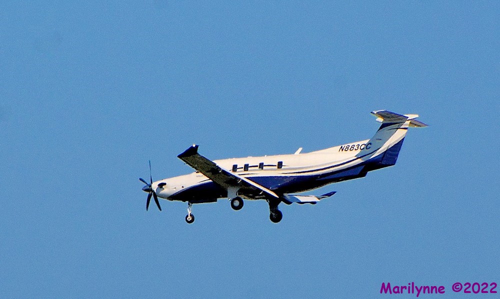 DSC_9828_001.JPG