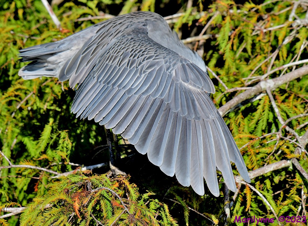 DSC_9828_001.JPG