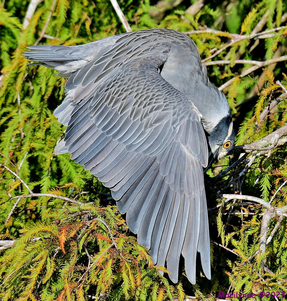 DSC_9836_001.JPG