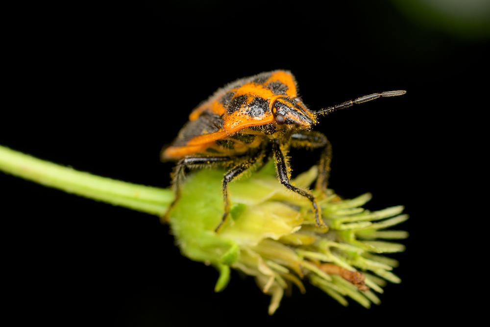 DSC_9839.jpg