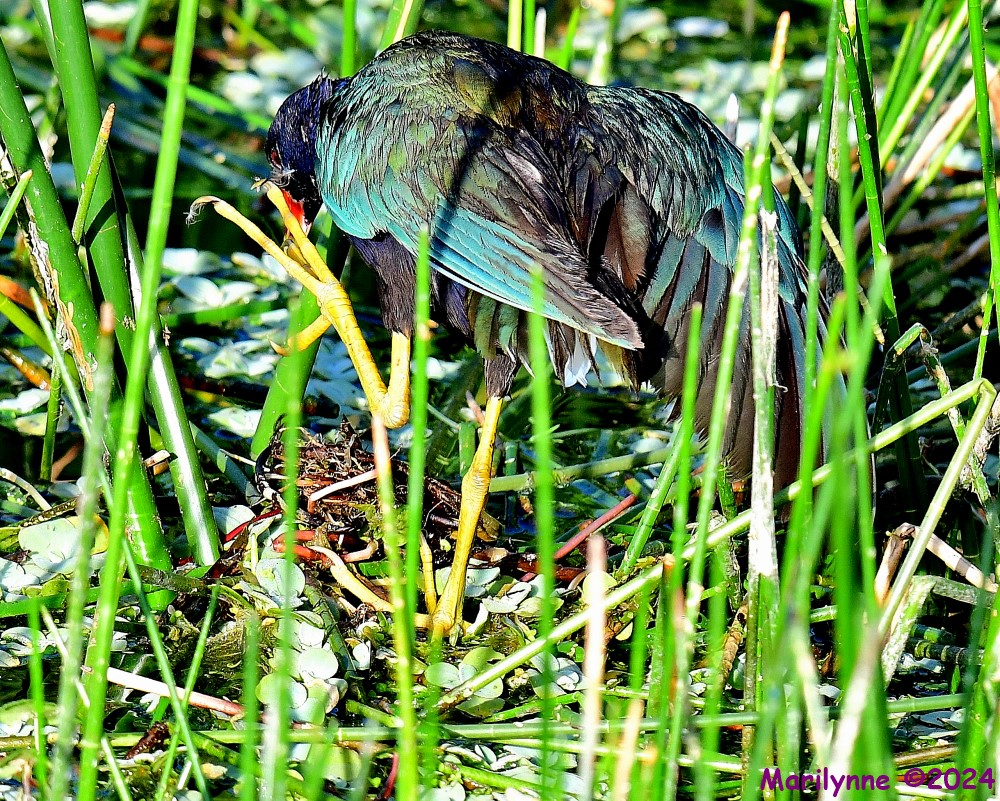 DSC_9842_001.JPG