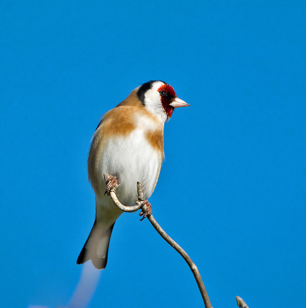 DSC_9851.jpg