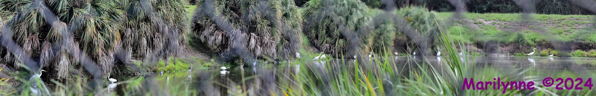 DSC_9851_stitch18_001.JPG