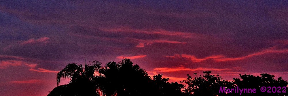 DSC_9853_001.JPG