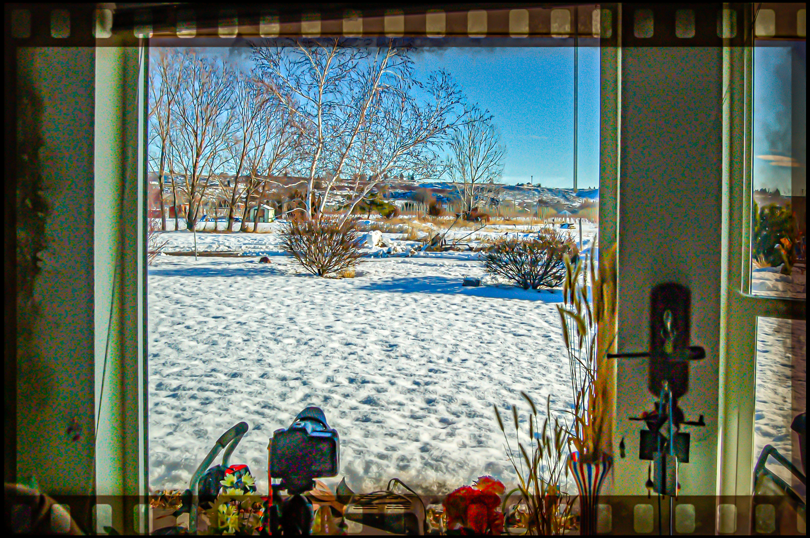 DSC_9858-Edit.JPG