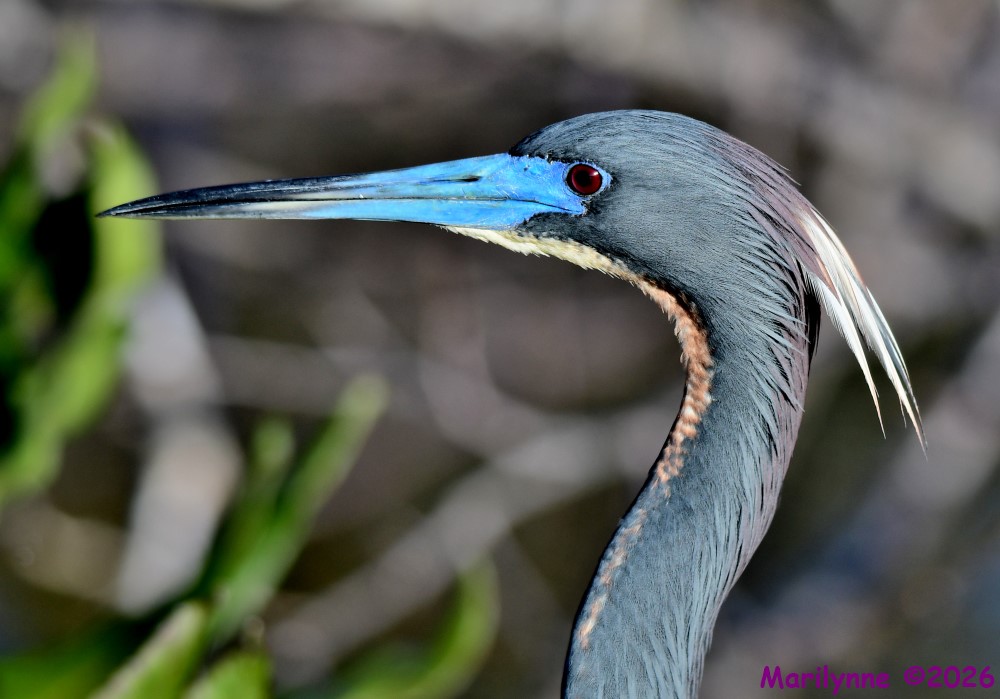 DSC_9860_001.JPG