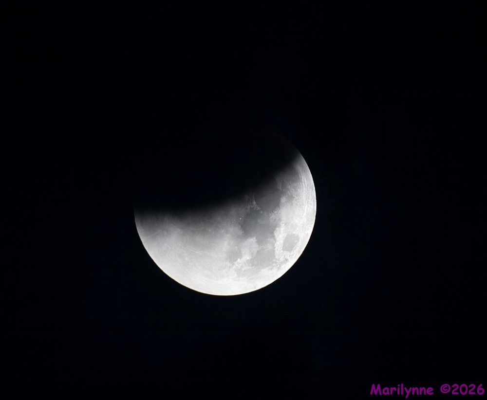 DSC_9878 copy_001.JPG