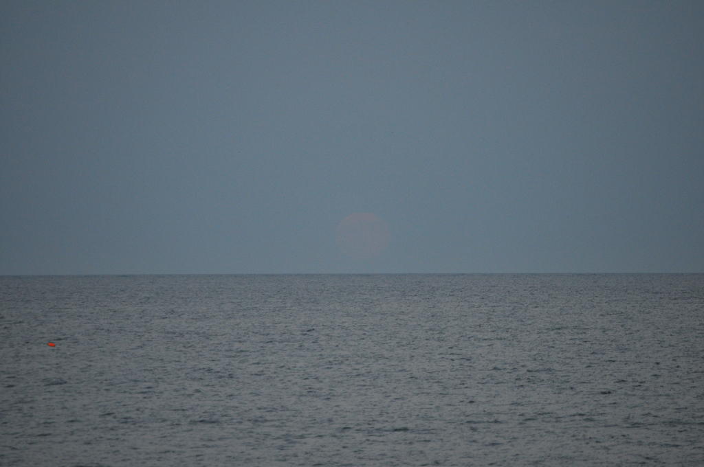 DSC_9886.jpg