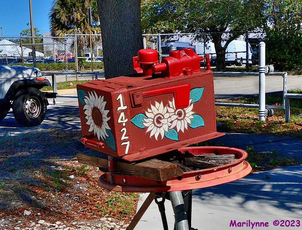 DSC_9890_001.JPG