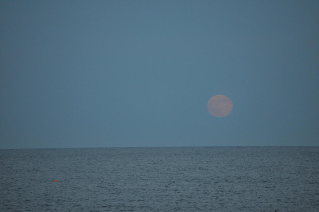 DSC_9894.jpg