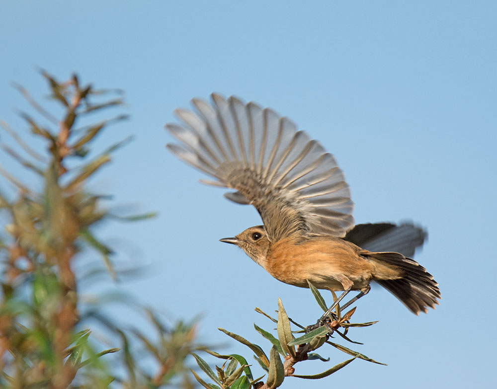 DSC_9894.jpg