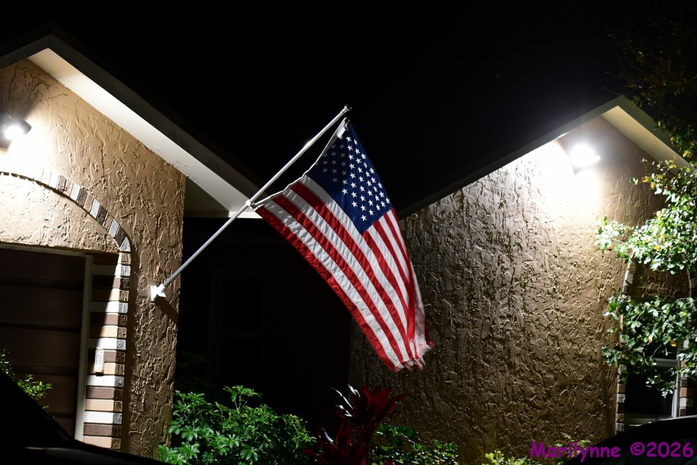 DSC_9894_001.JPG