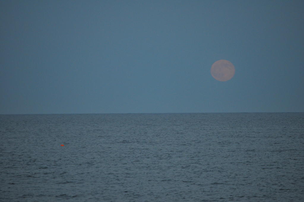 DSC_9895.jpg