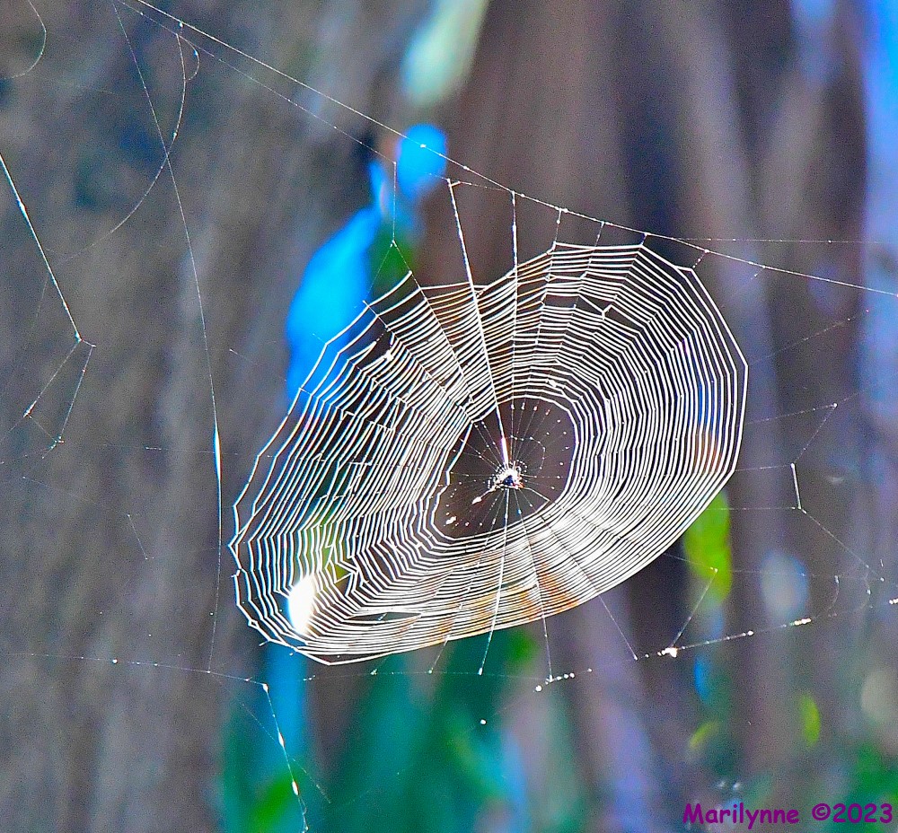 DSC_9895_001.JPG