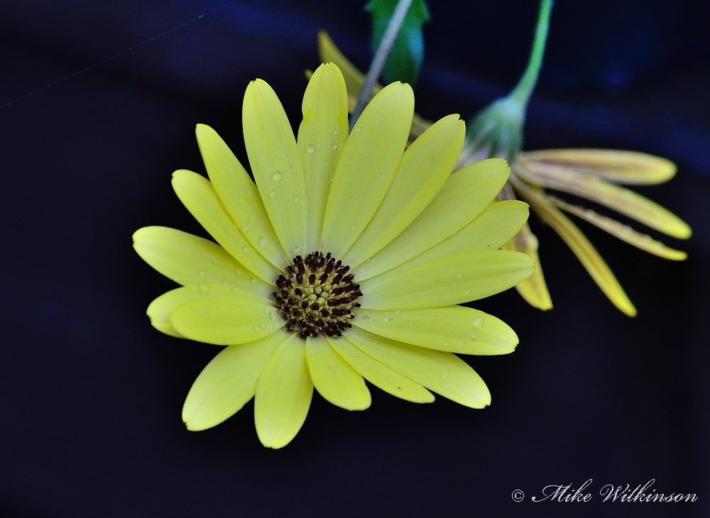 DSC_9897.JPG