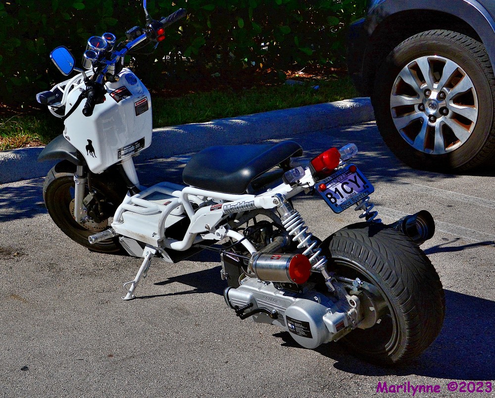 DSC_9897_001.JPG